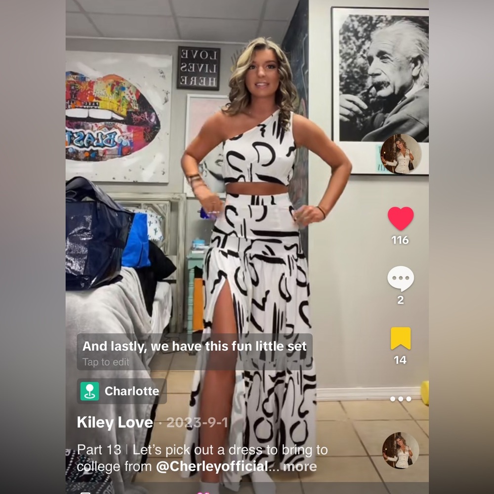Cherley Abstract Black and White Skirt Set